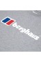 Men Big Classic Logo Tee Dark Grey | Berghaus T-Shirts