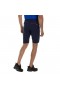  Heren Hansteen Tech Shorts - Blauw | Berghaus Shorts