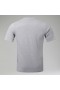 Herren-Wander-T-Shirt mit kurzen Ärmeln – Dunkelgrau | Berghaus T-Shirts